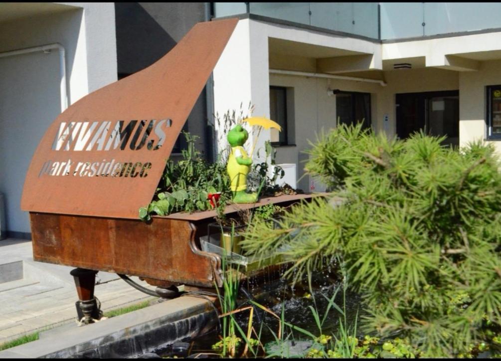 Vivamus Studio Brașov Exterior foto