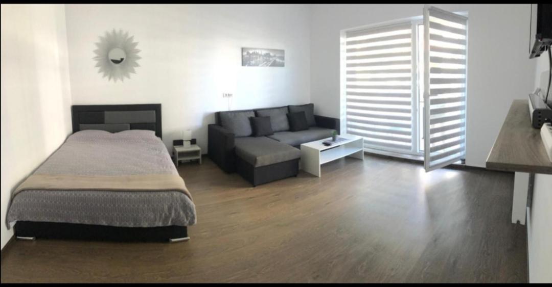 Vivamus Studio Brașov Exterior foto